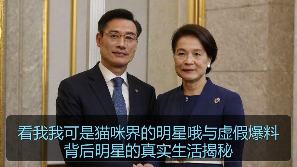 看我我可是猫咪界的明星哦与虚假爆料背后明星的真实生活揭秘