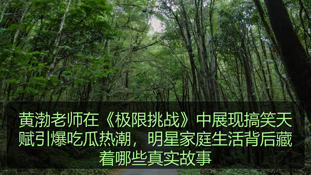 黄渤老师在《极限挑战》中展现搞笑天赋引爆吃瓜热潮，明星家庭生活背后藏着哪些真实故事