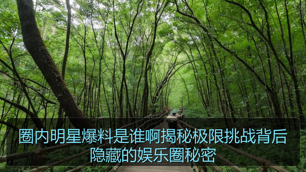 圈内明星爆料是谁啊揭秘极限挑战背后隐藏的娱乐圈秘密