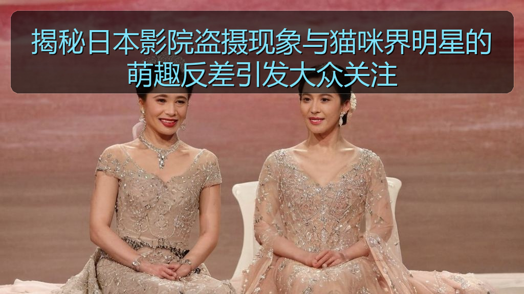 揭秘日本影院盗摄现象与猫咪界明星的萌趣反差引发大众关注